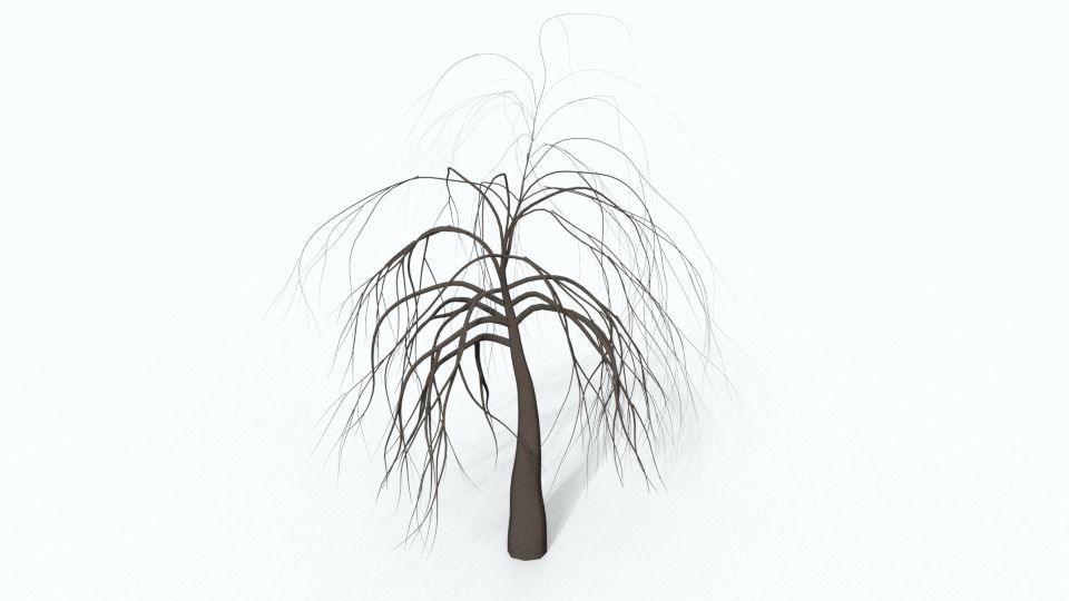 Tree 7 willow Free 3D model_1