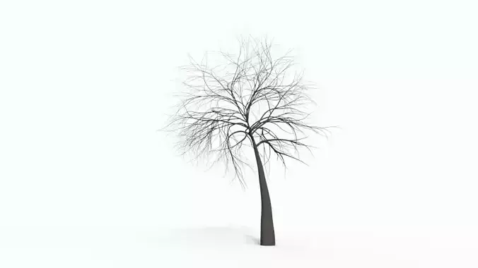 Tree 8 bare Free 3D model
