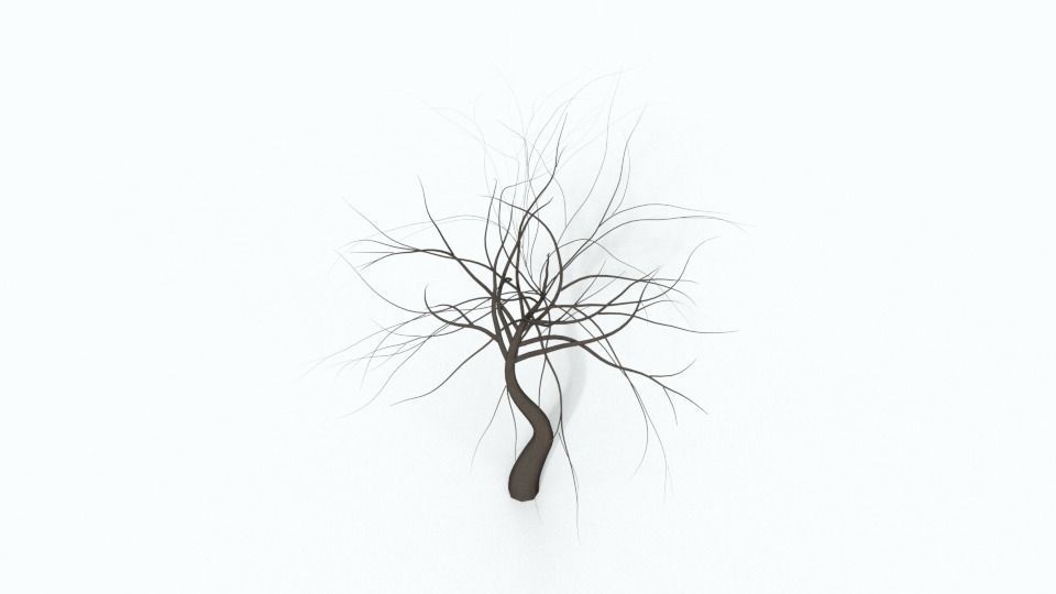 Tree Collection bare Free 3D model_28