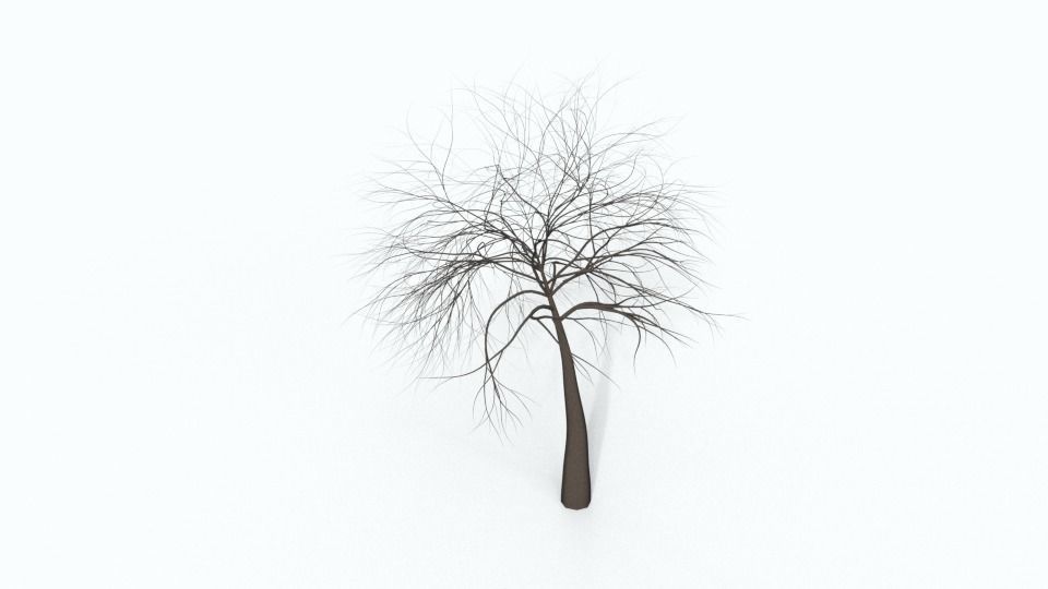 Tree Collection bare Free 3D model_37