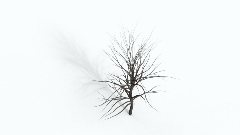 Tree Collection bare Free 3D model_13