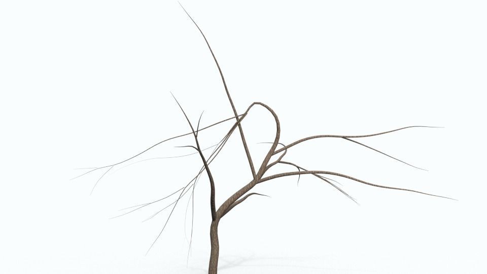 Tree Collection bare Free 3D model_2