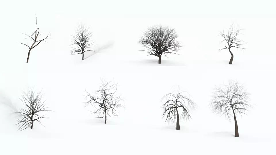 Tree Collection bare Free 3D model_0