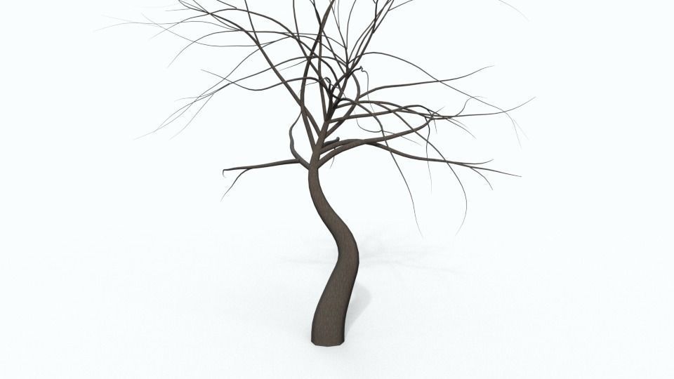 Tree Collection bare Free 3D model_29