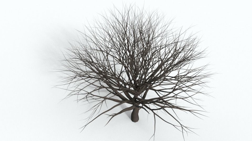 Tree Collection bare Free 3D model_23