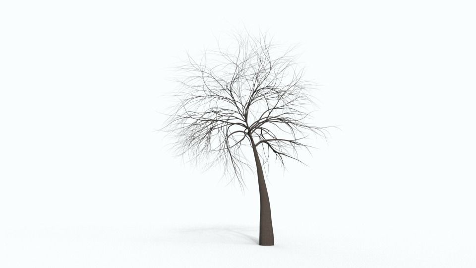 Tree Collection bare Free 3D model_36