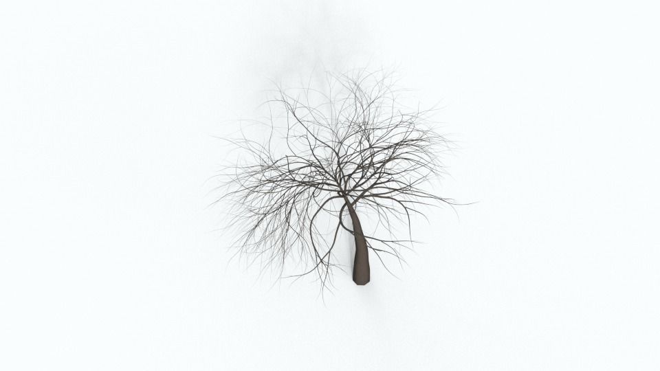 Tree Collection bare Free 3D model_38