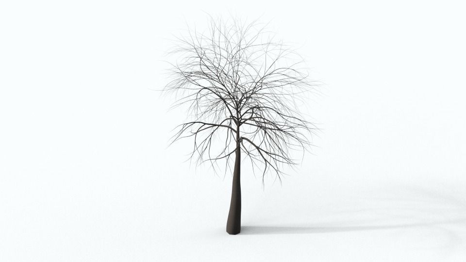 Tree Collection bare Free 3D model_40