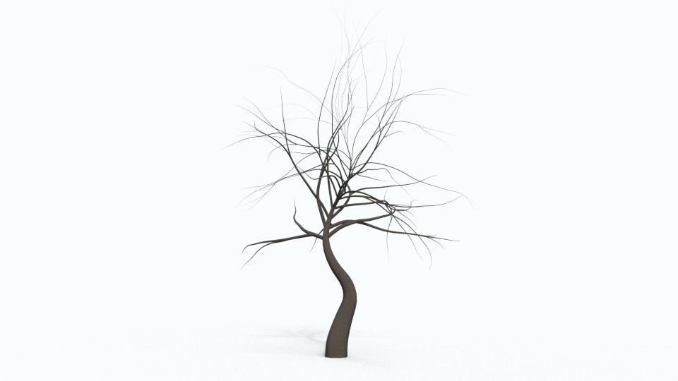 Tree Collection bare Free 3D model_26