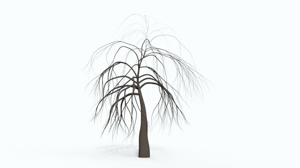Tree Collection bare Free 3D model_31