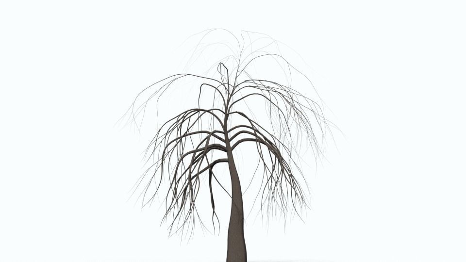 Tree Collection bare Free 3D model_34
