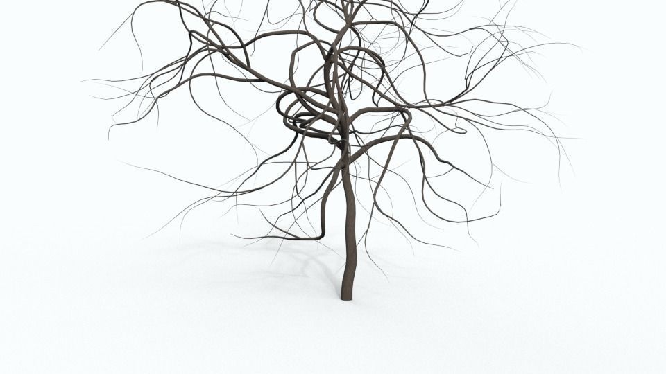 Tree Collection bare Free 3D model_19