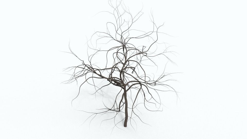 Tree Collection bare Free 3D model_17