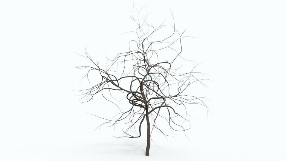 Tree Collection bare Free 3D model_16