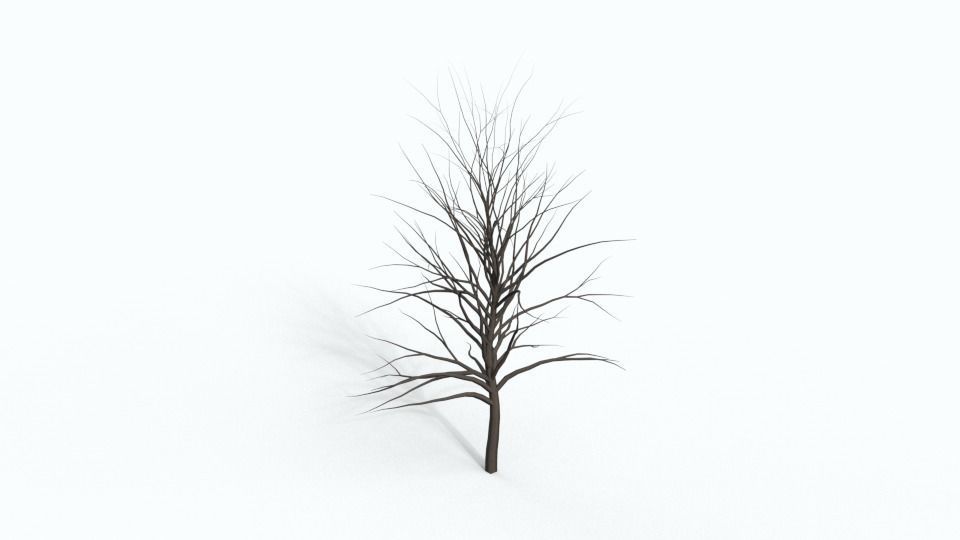 Tree Collection bare Free 3D model_14