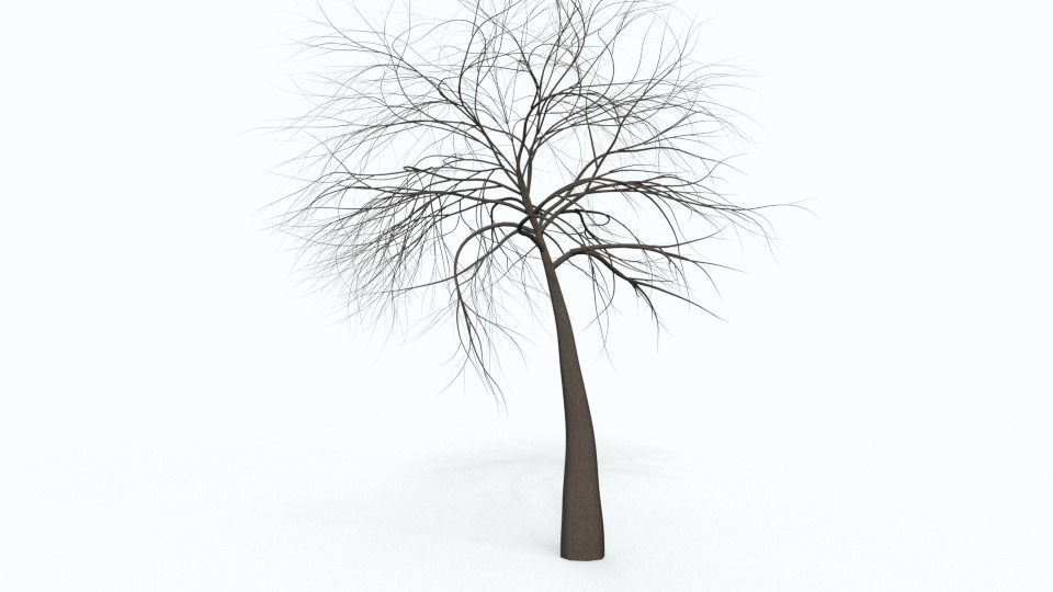 Tree Collection bare Free 3D model_39