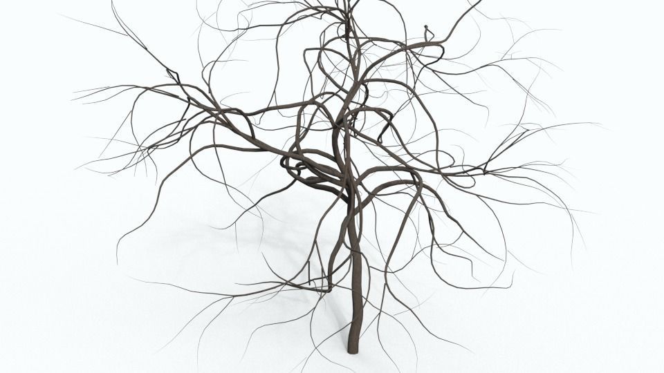 Tree Collection bare Free 3D model_18