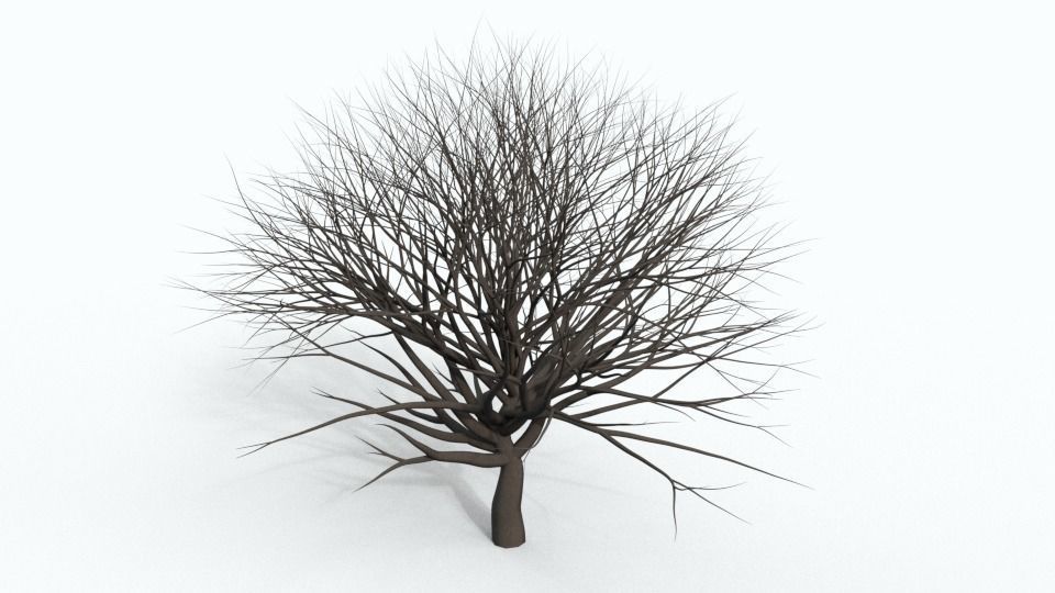 Tree Collection bare Free 3D model_22