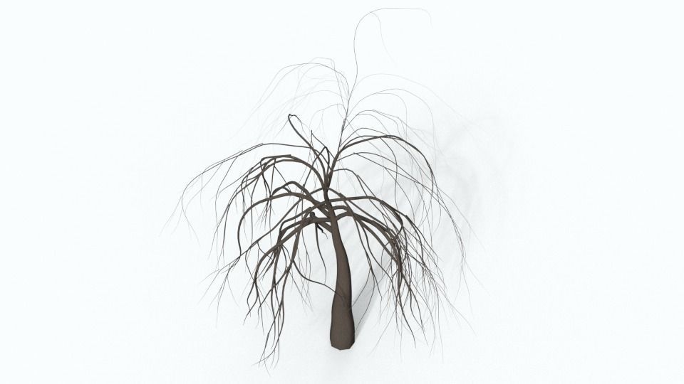 Tree Collection bare Free 3D model_33