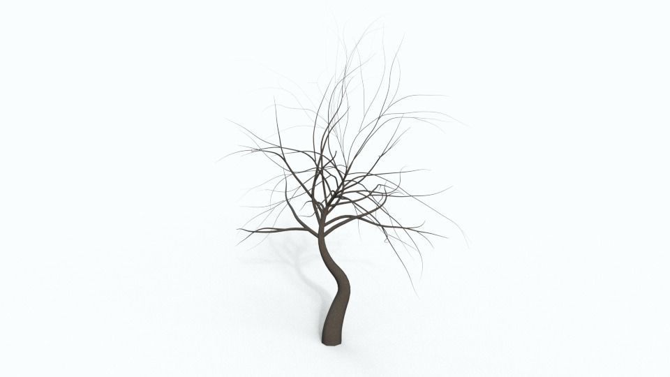 Tree Collection bare Free 3D model_27