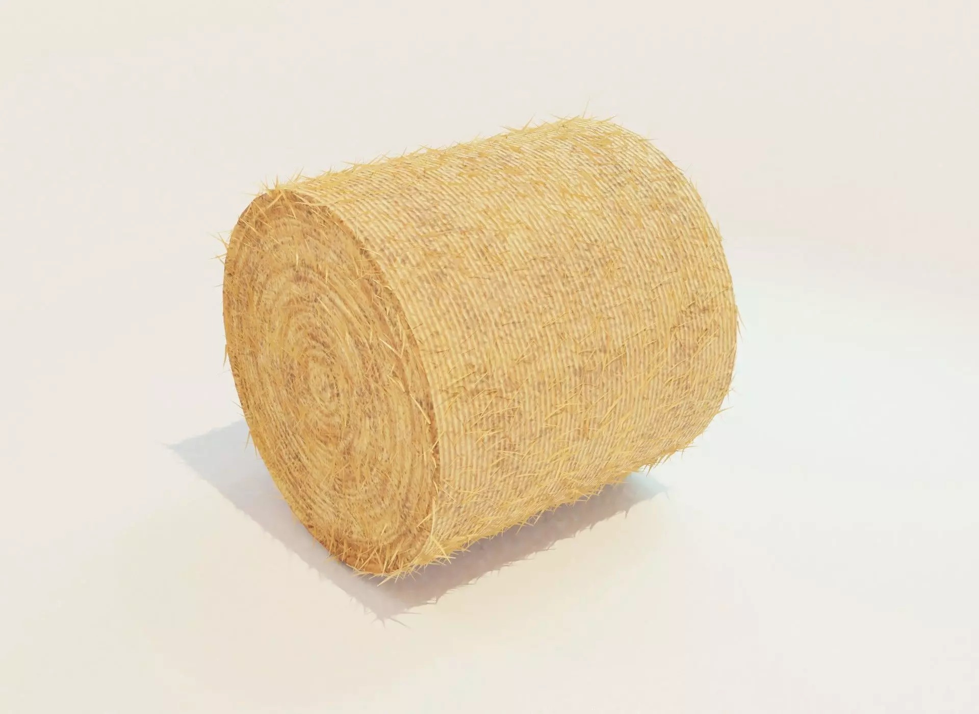 Hay Bale Round 3D Model 3D model