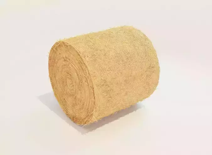 Hay Bale Round 3D Model 3D model