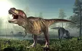 Tyrannosaurus t - rex in forest 3D model