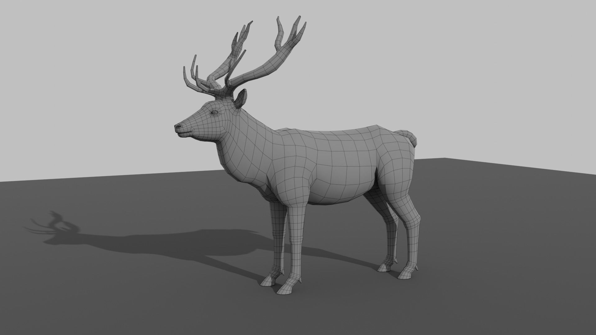 Deer LowPoly with antlers Low-poly 3D model_11