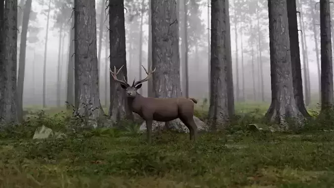 Deer LowPoly with antlers