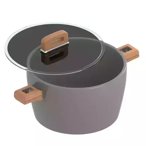 Cooking Pot