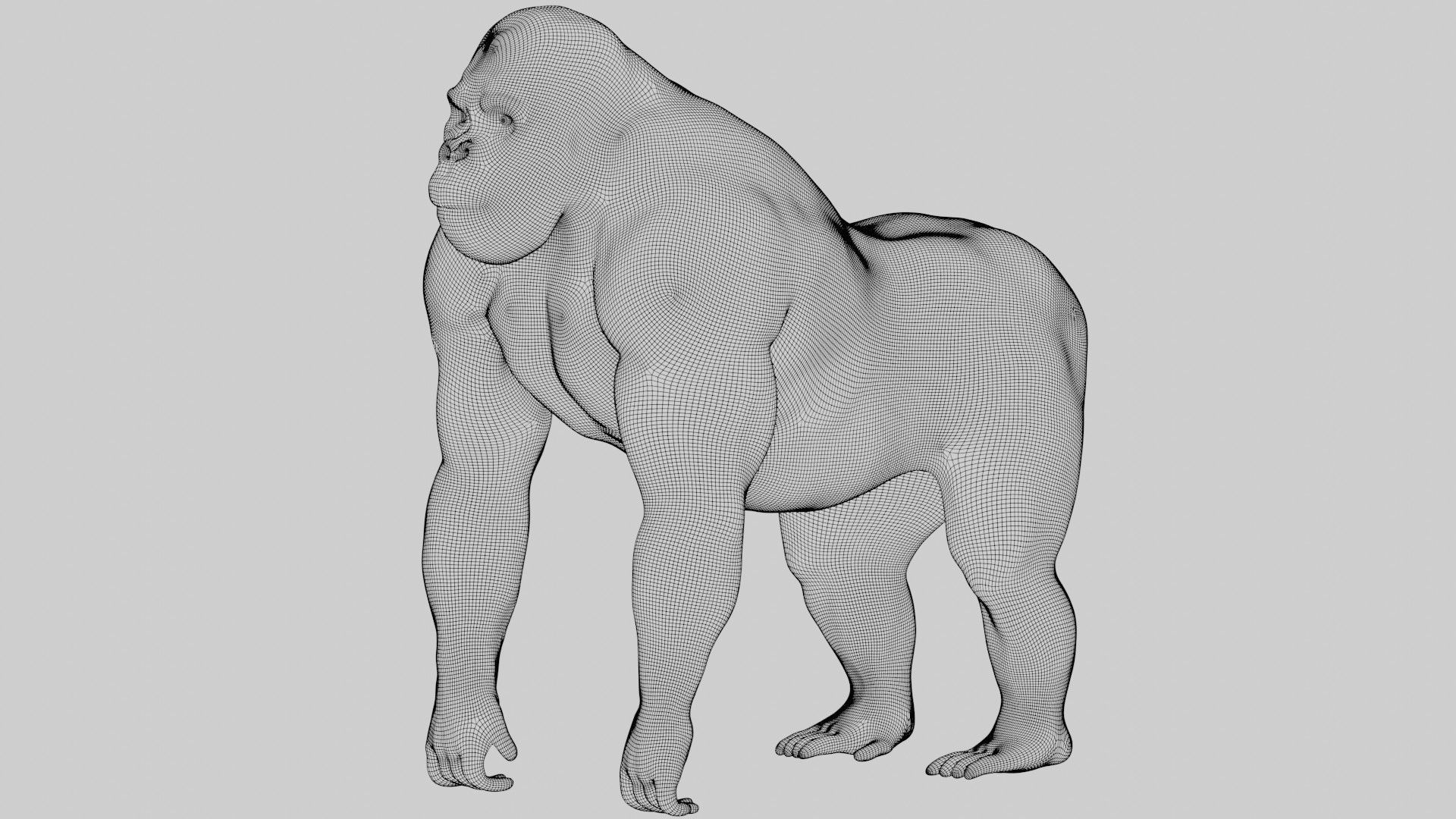 Gorilla 3D model_10