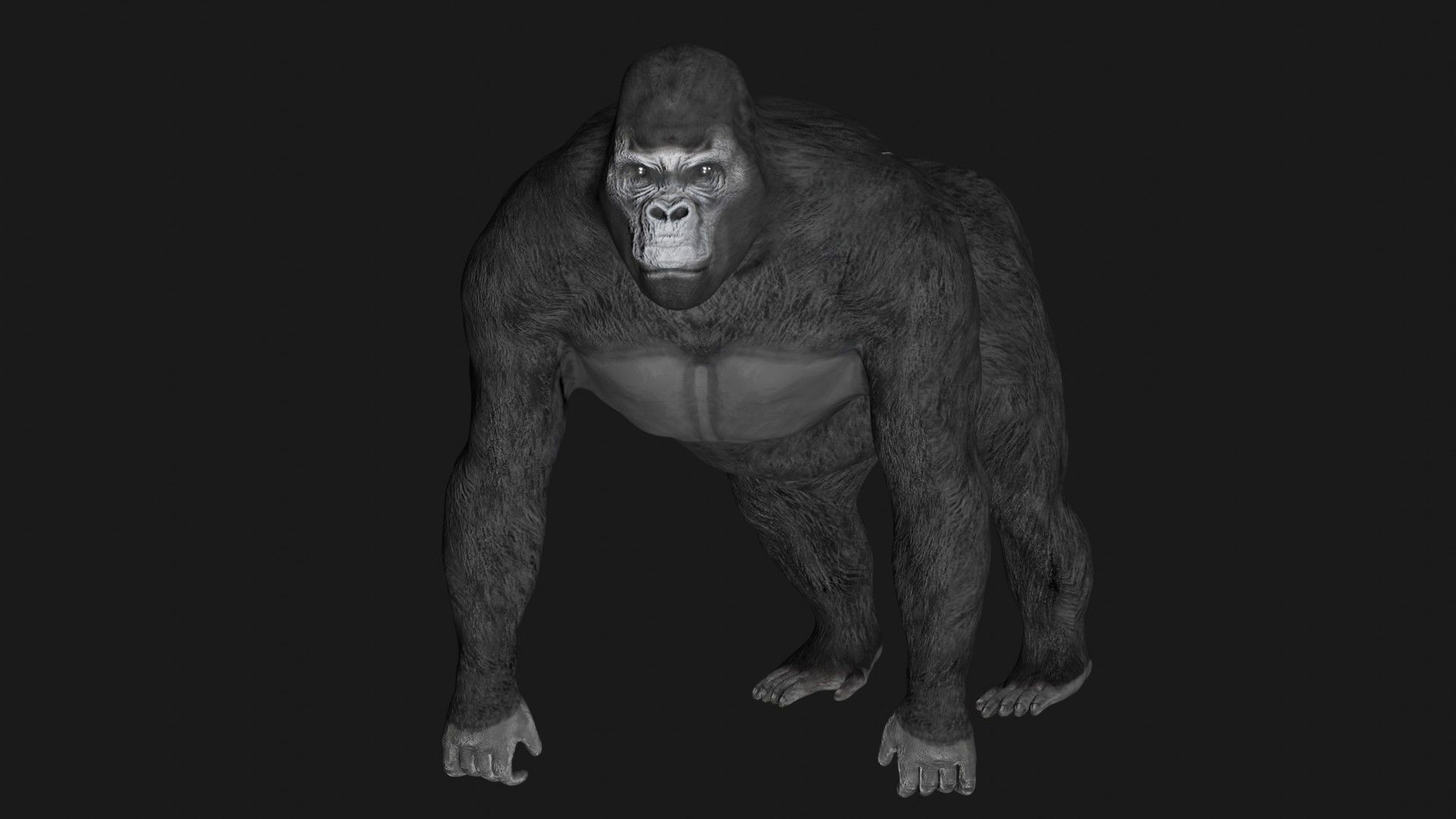 Gorilla 3D model_5