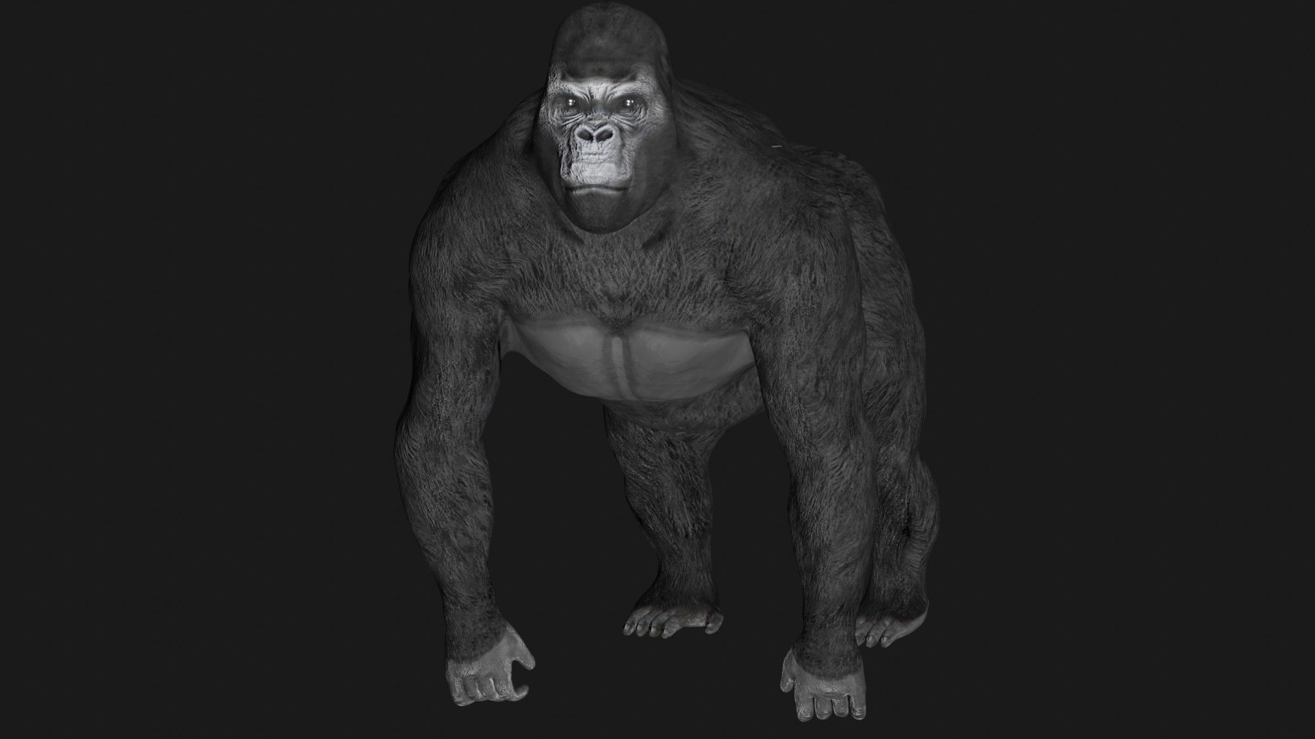 Gorilla 3D model_2