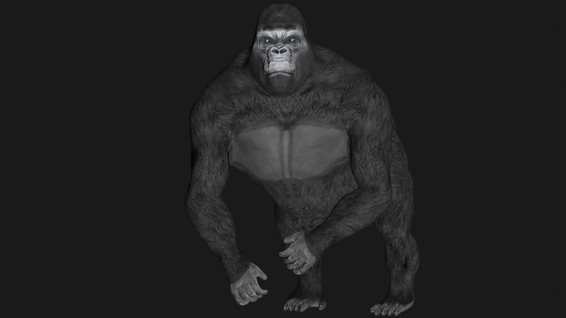 Gorilla 3D model_3