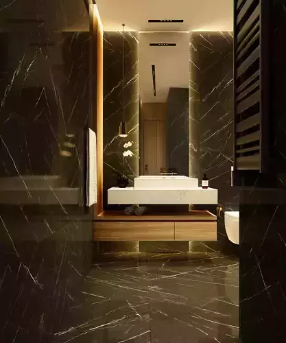 Modern dark bathroom interior scene 3D model