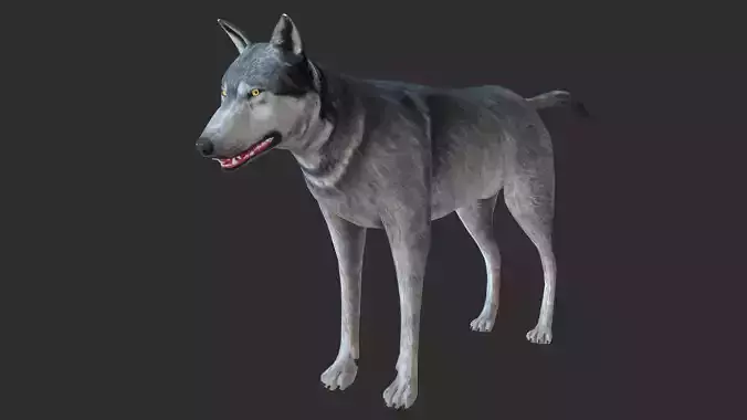 Wolf 3d model Low-poly 3D model