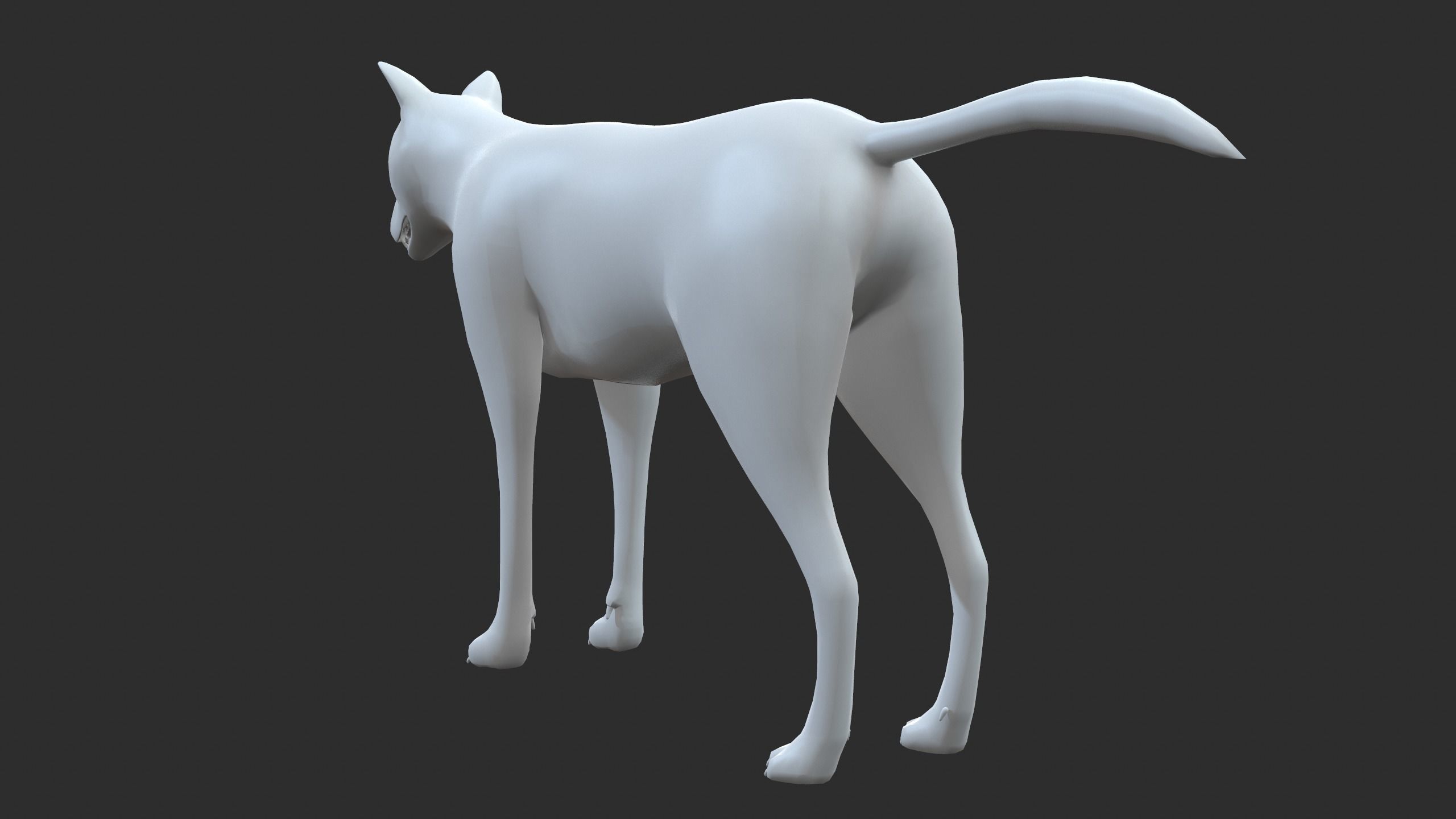 Wolf 3d model Low-poly 3D model_11