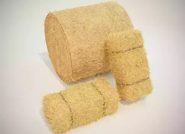 Hay Bales 3D Model Collection