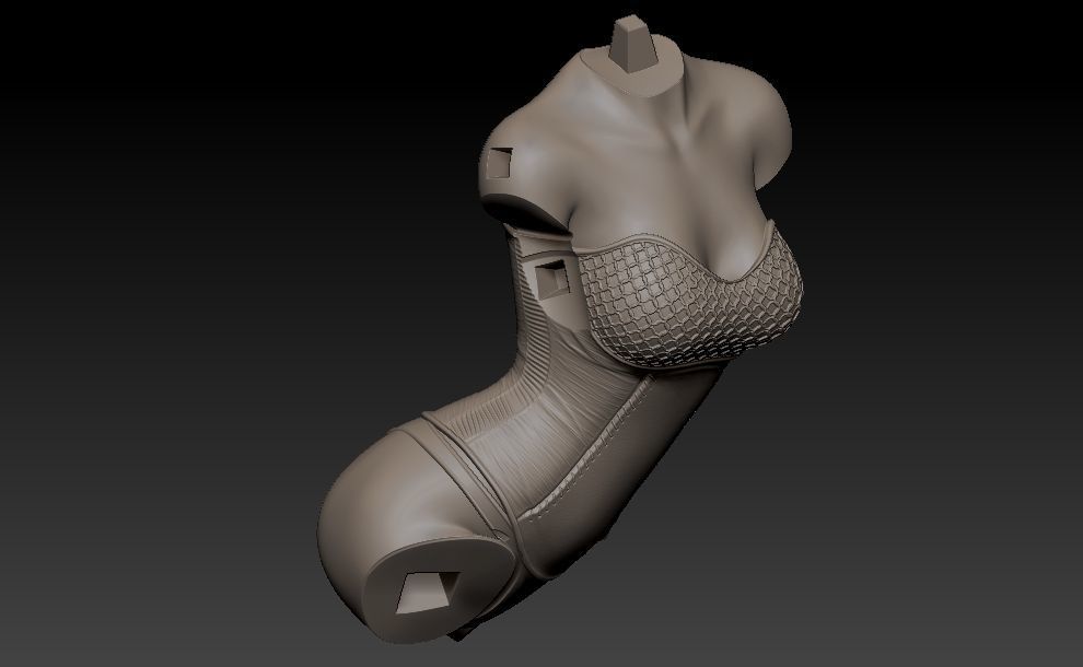 Star Wars Stormtrooper Pin Up Girl   3D print model_30