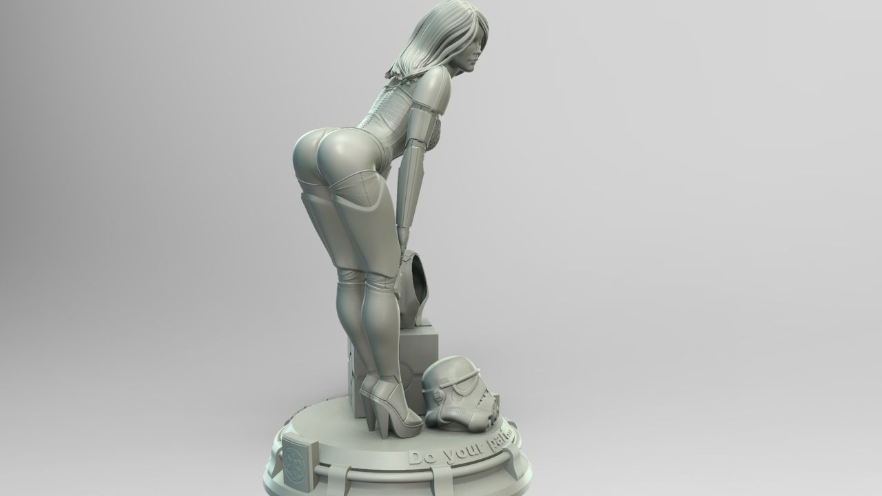 Star Wars Stormtrooper Pin Up Girl   3D print model_4