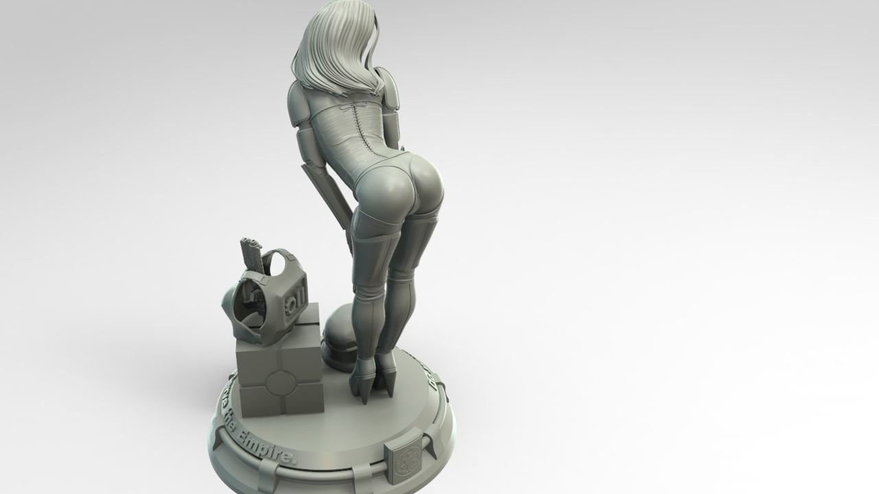 Star Wars Stormtrooper Pin Up Girl   3D print model_5