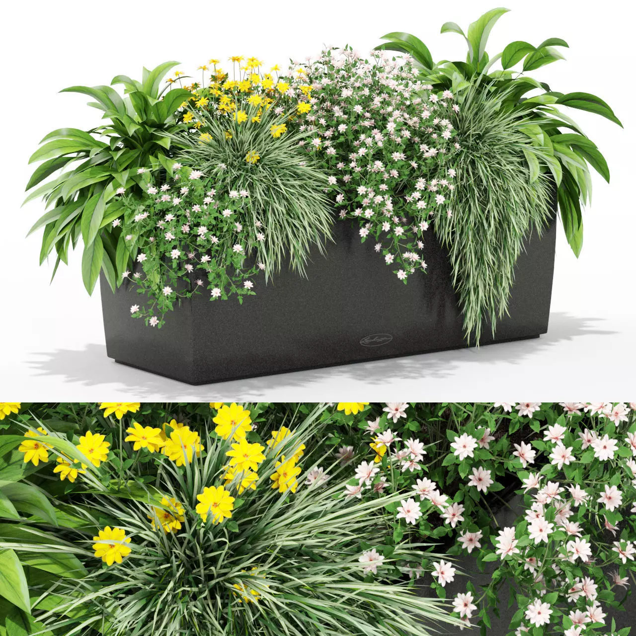 Plants collection 435 3D model_0