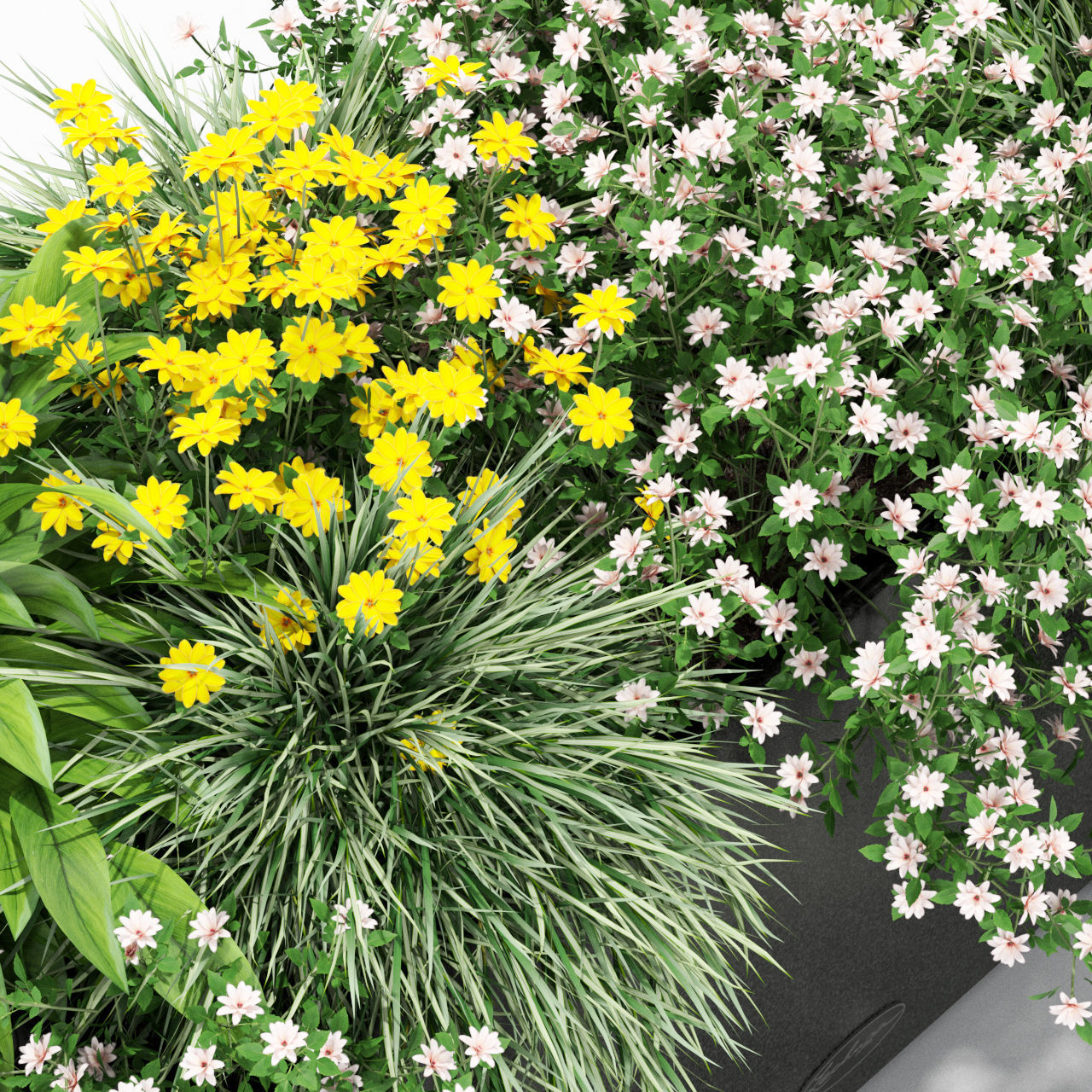 Plants collection 435 3D model_1