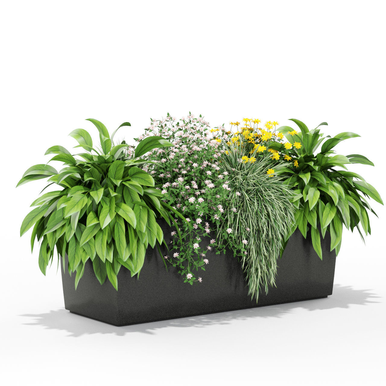 Plants collection 435 3D model_2