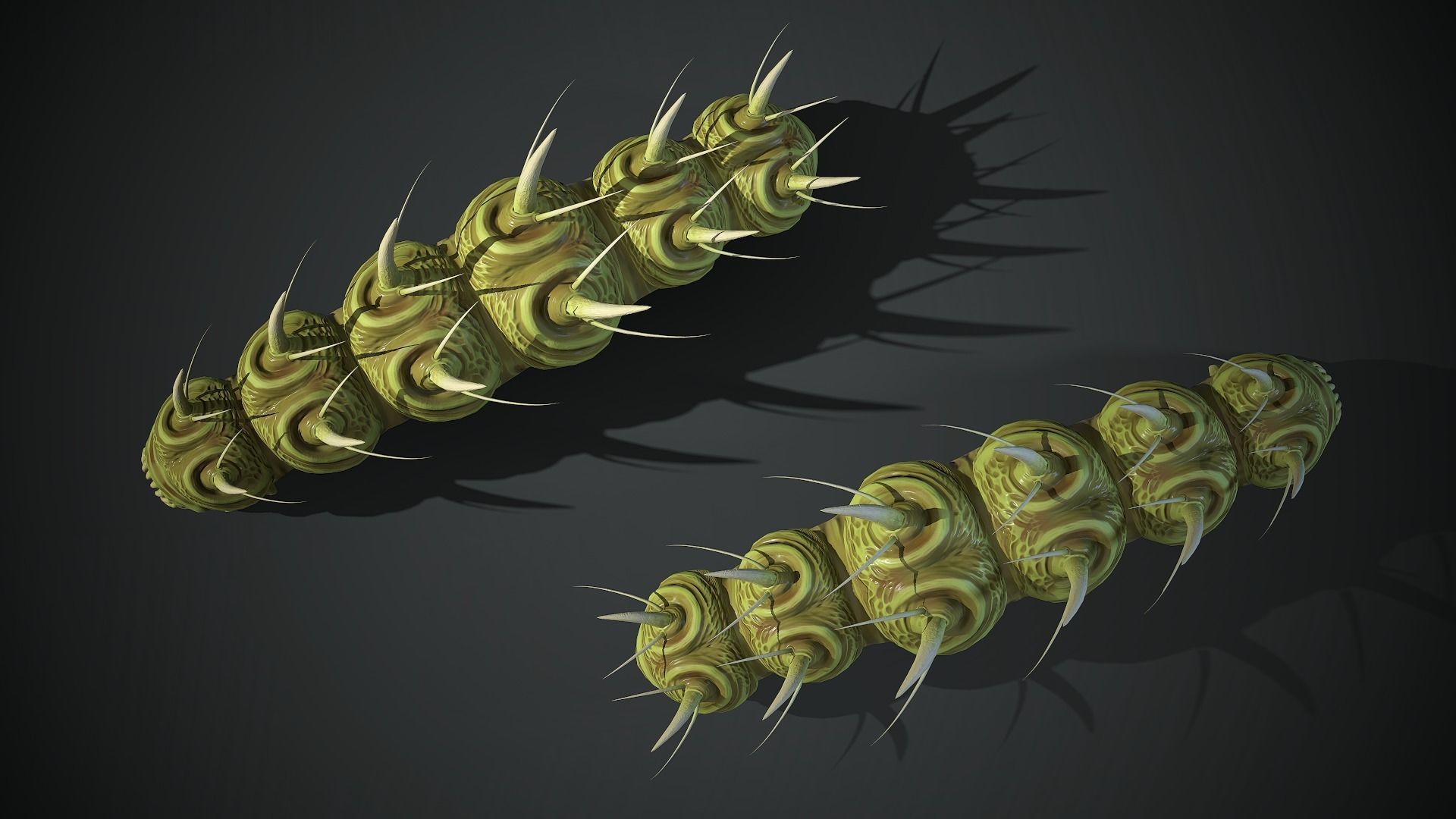 Caterpillar Creature - Game Ready Low-poly 3D model Low-poly 3D model_16