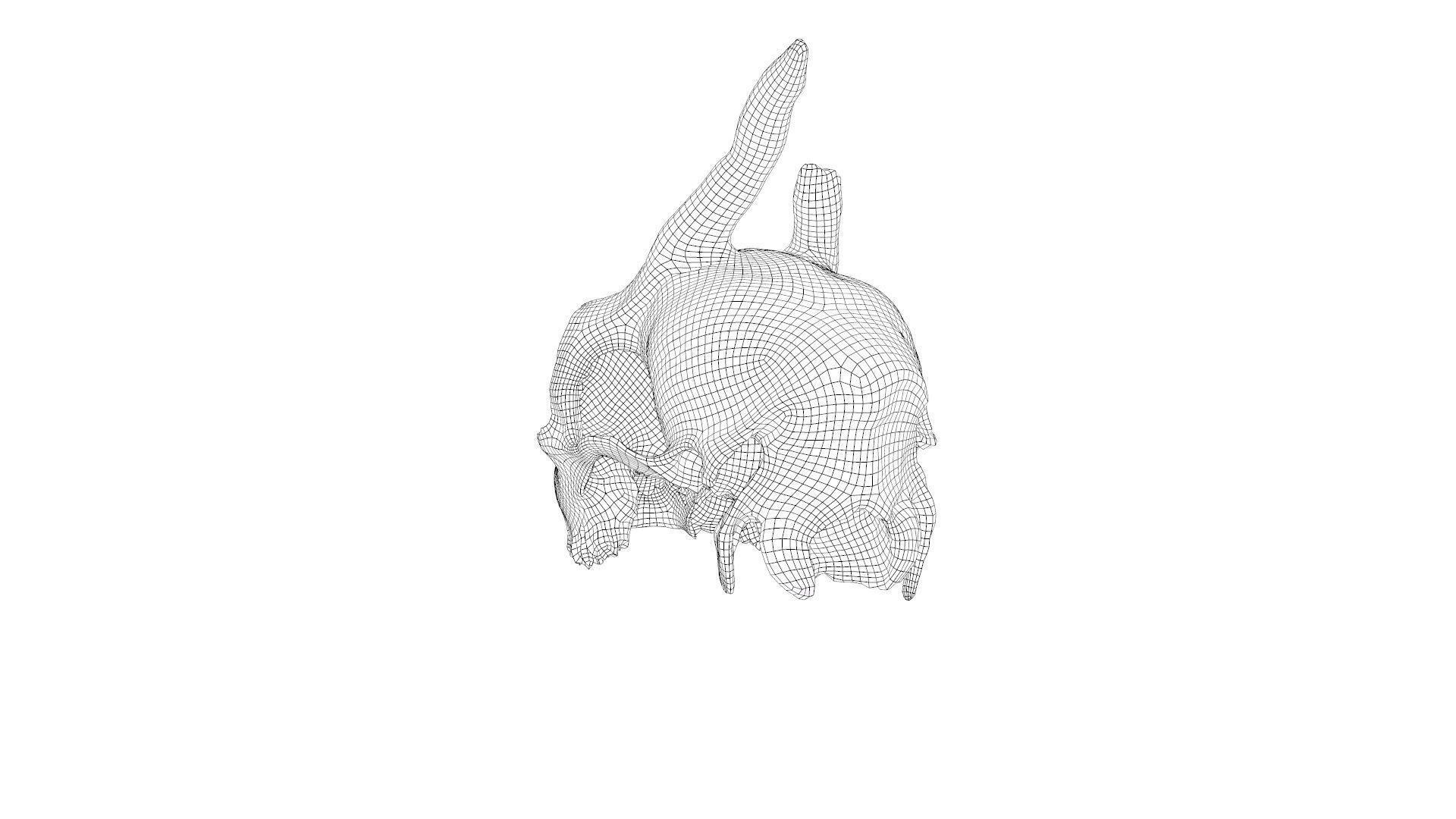 Skull - Deer Low-poly 3D model_31