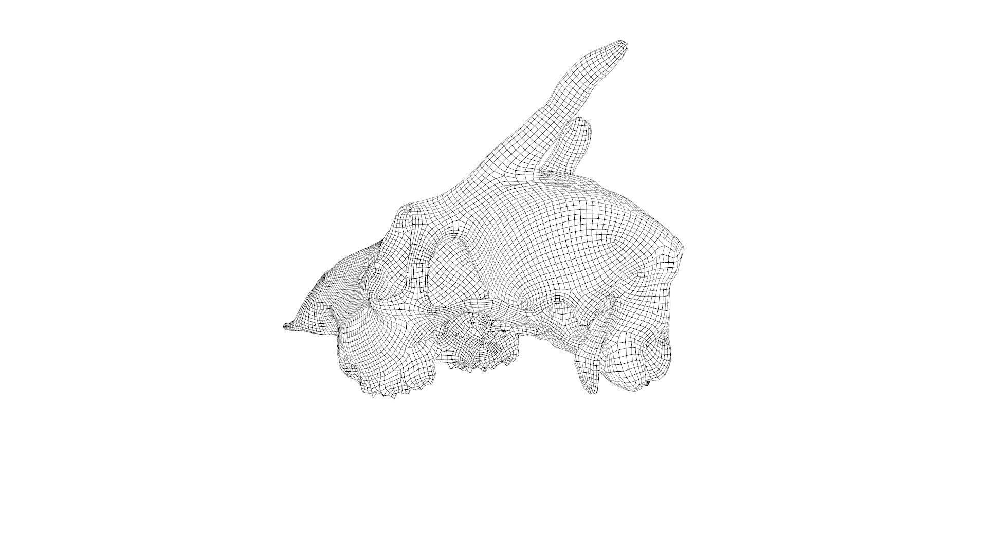 Skull - Deer Low-poly 3D model_32