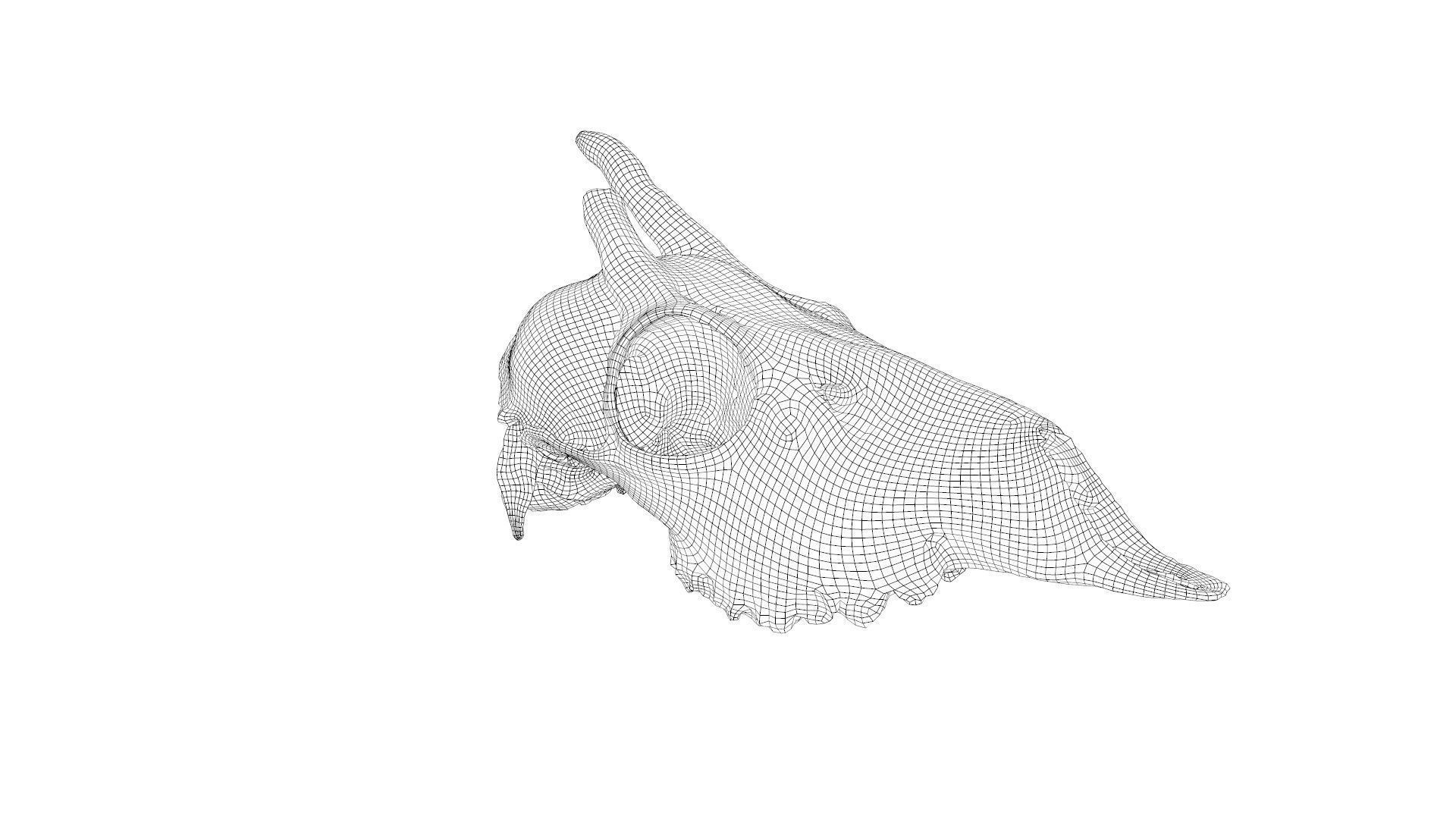 Skull - Deer Low-poly 3D model_26