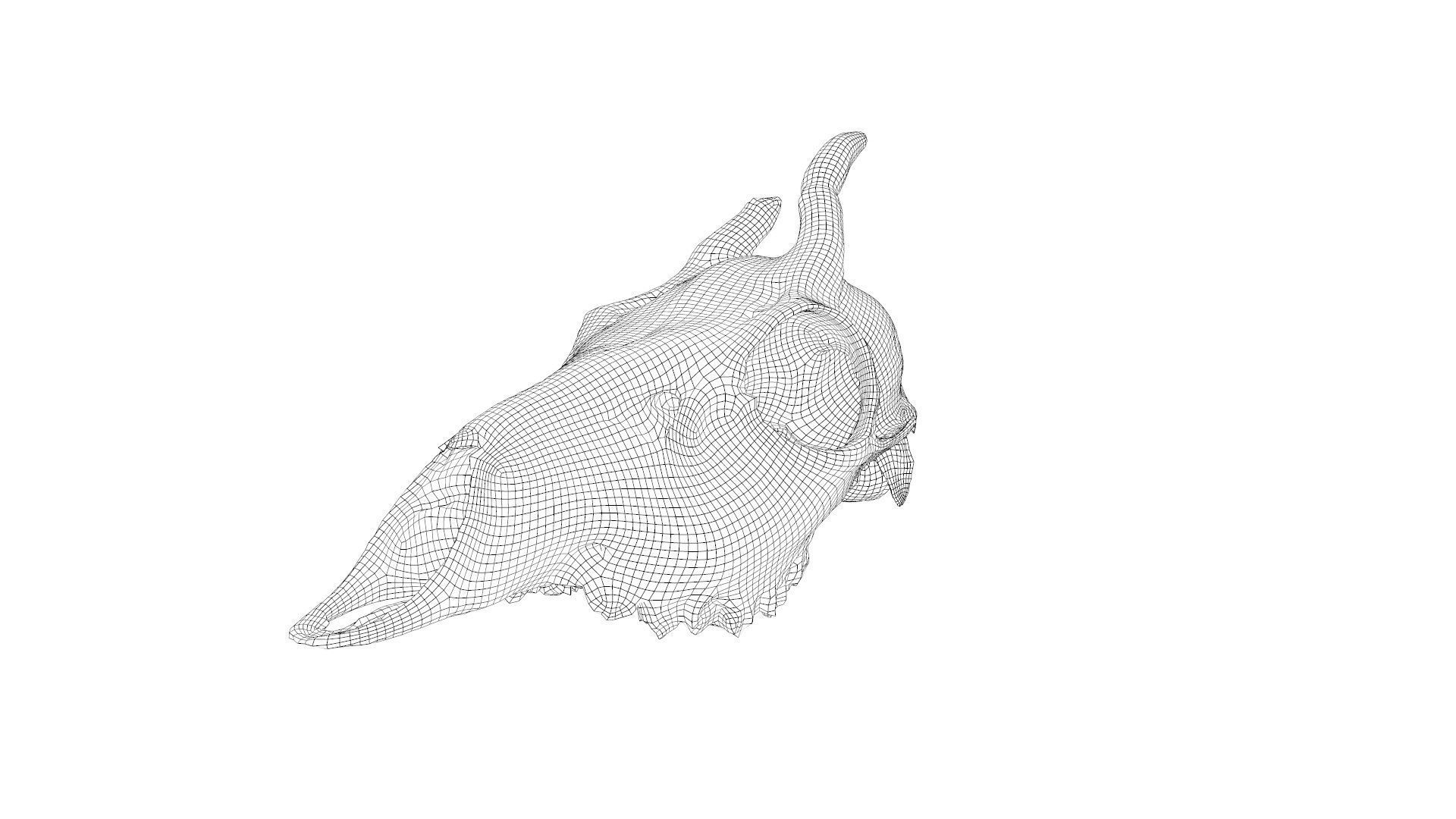 Skull - Deer Low-poly 3D model_35