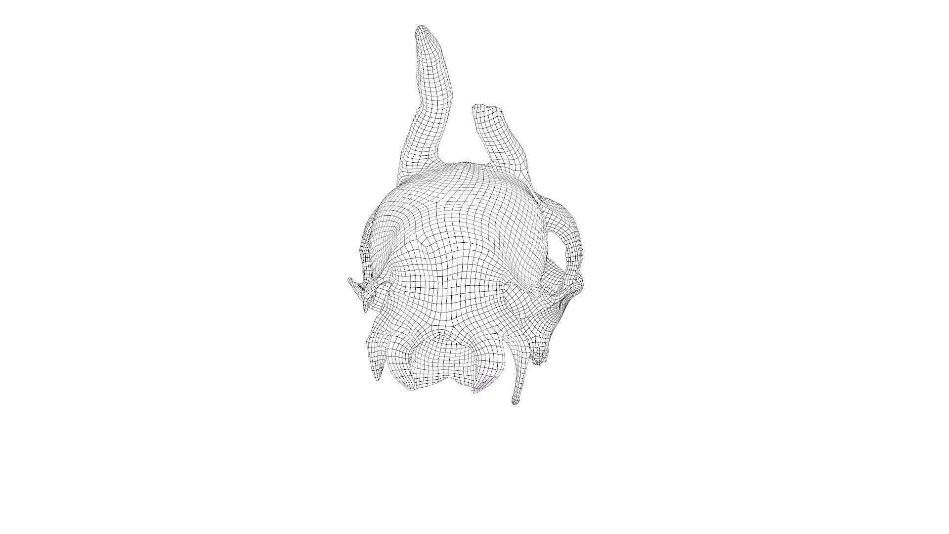 Skull - Deer Low-poly 3D model_30